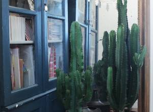 Entrée : Cactus, Trumeau, Baladeuse Merci et Armoire Vintage