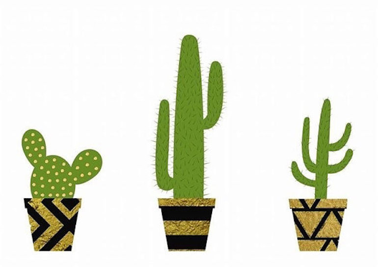 poster-cactus