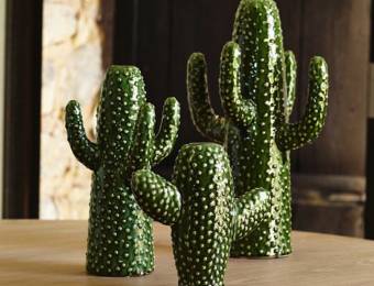 Vase Cactus Am Pm