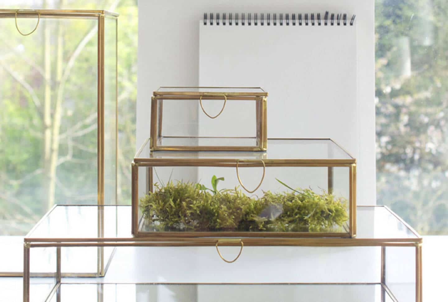 boite-vitrines-bijoux-verre-et-laiton-am-pm