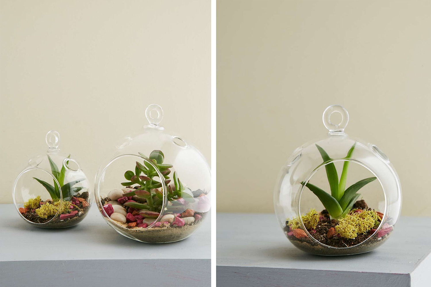 Terrariums Urban outfitters / Hëllø Blogzine - www.hello-hello.fr