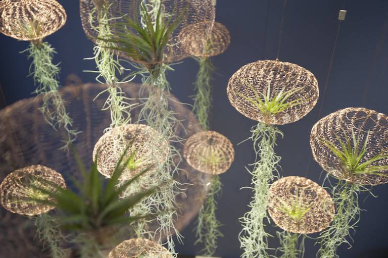 Carolyn Slottje Air Planting // Hëllø Blogzine Lifestyle - www.hello-hello.fr