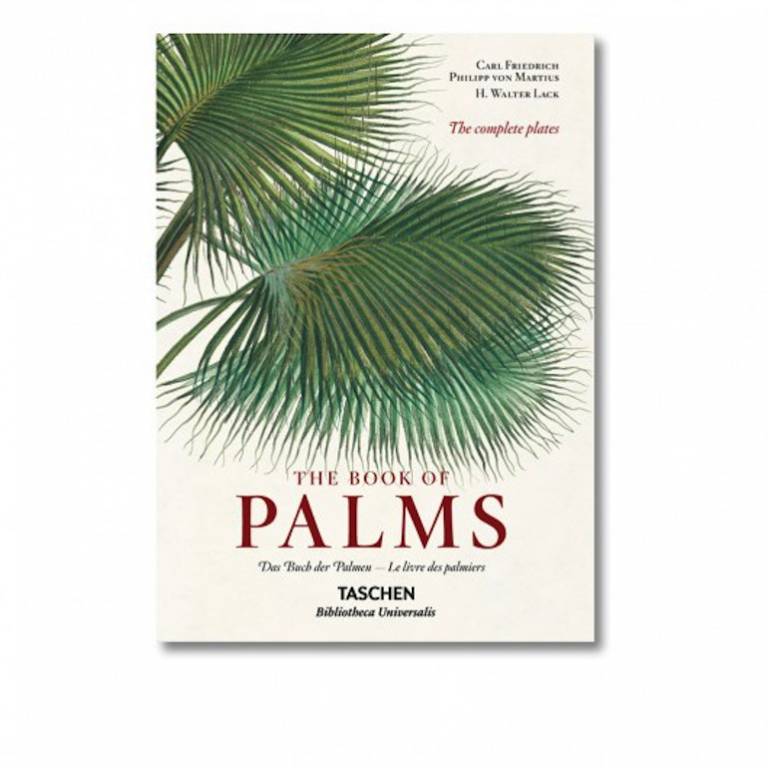Le livre des palmiers Taschen // Hëllø Blogzine Lifestyle - www.hello-hello.fr