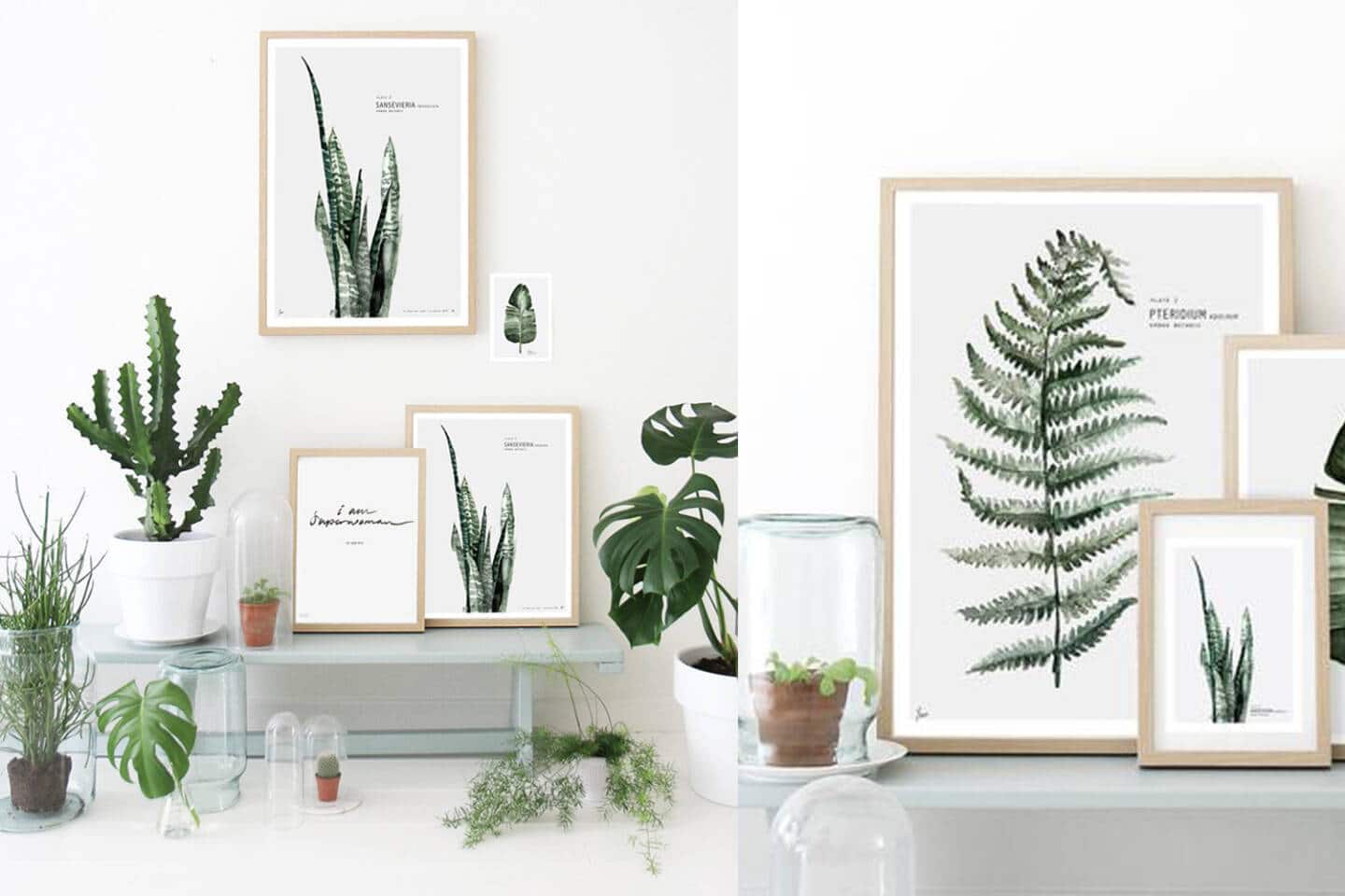 Botanic // Hëllø Blogzine blog deco & lifestyle www.hello-hello.fr