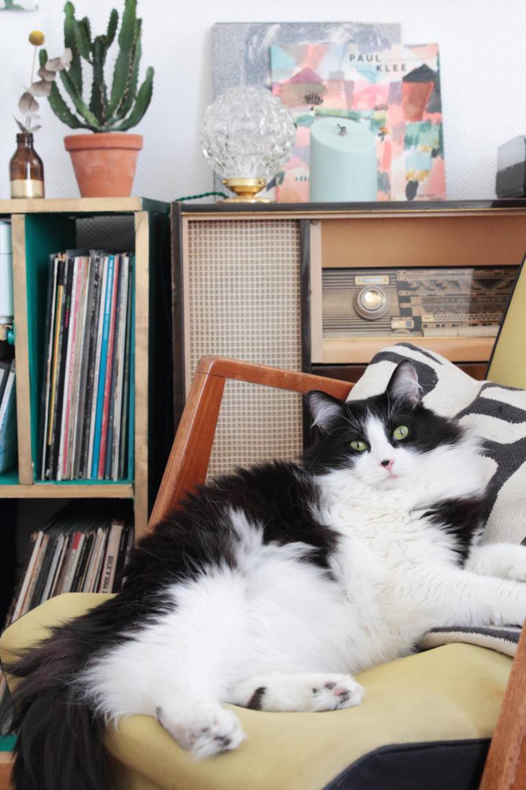Vintage parisian apartment // Hëllø Blogzine blog deco & lifestyle www.hello-hello.fr