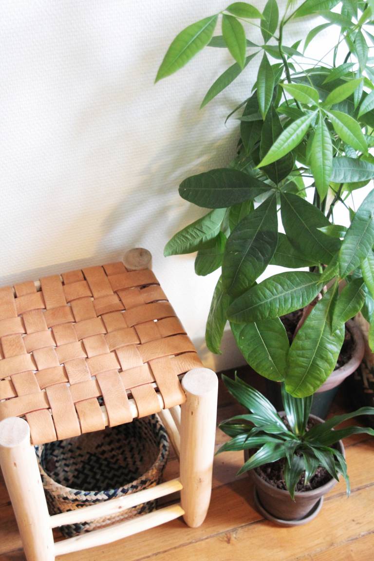 Parisian Apartment Illustrator and Cofounder of Season Paper // Hëllø Blogzine blog deco & lifestyle www.hello-hello.fr