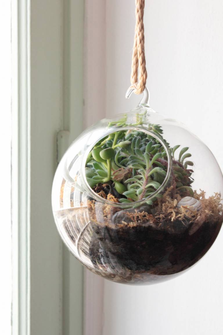 Appartement Parisien Oasis Urbaine // Hëllø Blogzine blog deco & lifestyle www.hello-hello.fr #green #urbanjungle