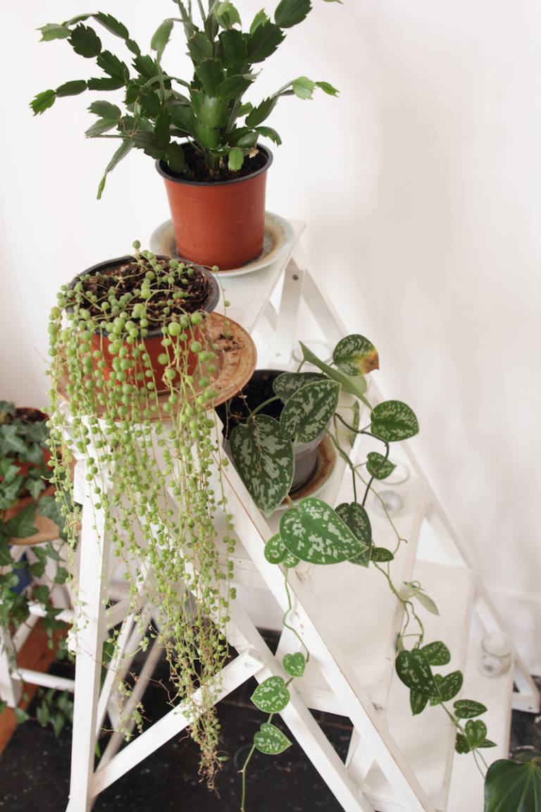 Appartement Parisien Oasis Urbaine // Hëllø Blogzine blog deco & lifestyle www.hello-hello.fr #green #urbanjungle