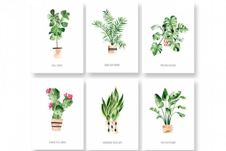 Greenterior : comment végétaliser son intérieur avec Style ? // Hëllø Blogzine blog deco & lifestyle www.hello-hello.fr #greenterior #urbanjungle #green #tropical #vegetal