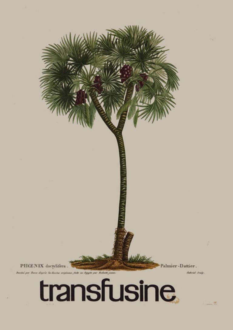 Greenterior : comment végétaliser son intérieur avec Style ? // Hëllø Blogzine blog deco & lifestyle www.hello-hello.fr #greenterior #urbanjungle #green #tropical #vegetal