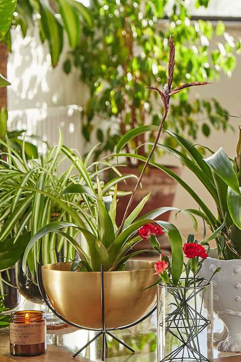 Greenterior : comment végétaliser son intérieur avec Style ? // Hëllø Blogzine blog deco & lifestyle www.hello-hello.fr #greenterior #urbanjungle #green #tropical #vegetal
