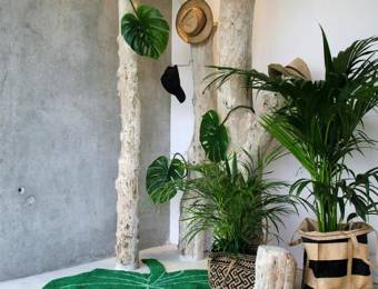 Greenterior : comment végétaliser son intérieur avec Style ? // Hëllø Blogzine blog deco & lifestyle www.hello-hello.fr #greenterior #urbanjungle #green #tropical #vegetal