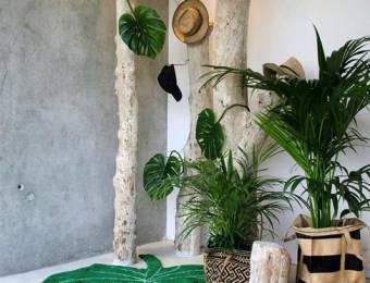 Tendance monstera // Hëllø Blogzine blog deco & lifestyle www.hello-hello.fr #monstera #vegetal #tropical #green #greenterior