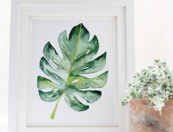 Tendance monstera // Hëllø Blogzine blog deco & lifestyle www.hello-hello.fr #monstera #vegetal #tropical #green #greenterior