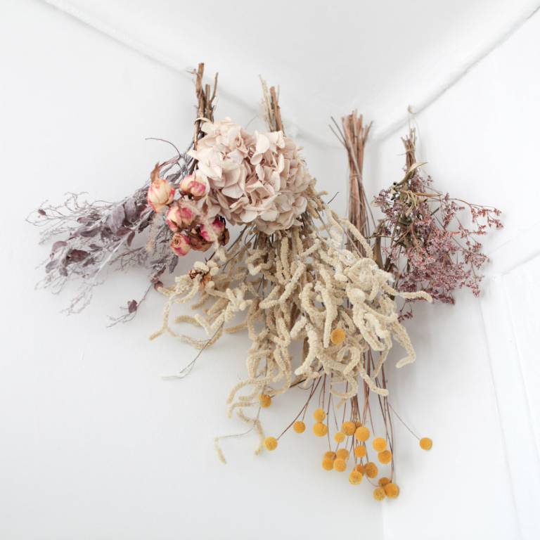 Où acheter des fleurs séchées ? // Hëllø Blogzine blog deco & lifestyle www.hello-hello.fr
