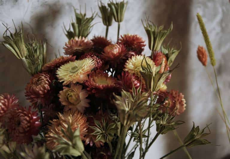 Où acheter des fleurs séchées ? // Hëllø Blogzine blog deco & lifestyle www.hello-hello.fr