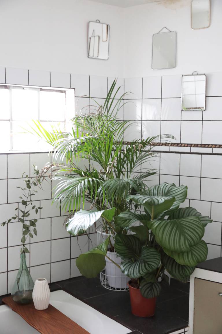 Créer une ambiance urban jungle dans la salle de bain // Hëllø Blogzine blog deco & lifestyle www.hello-hello.fr