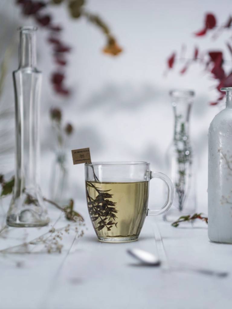 Tendance Jardin d'hiver // Hellø Blogzine blog deco & lifestyle www.hello-hello.fr