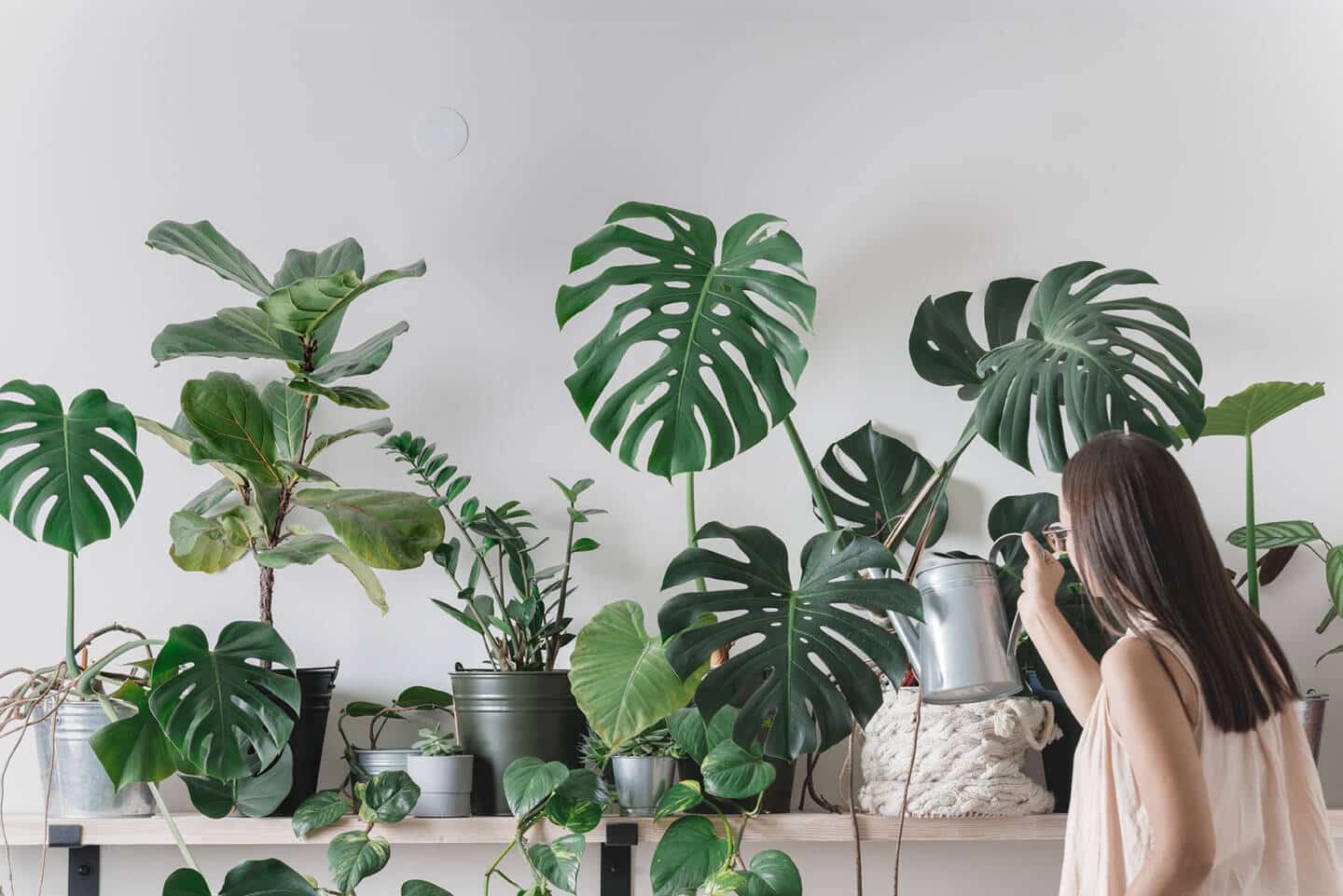 Plantes d'intérieur qui poussent vite // Hellø Blogzine blog deco & lifestyle www.hello-hello.fr