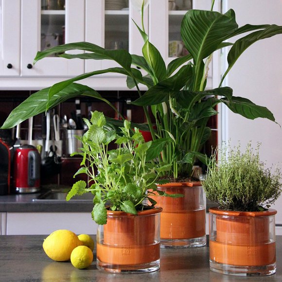 20 solutions déco et intelligentes pour arroser vos plantes // Hellø Blogzine blog deco & lifestyle www.hello-hello.fr