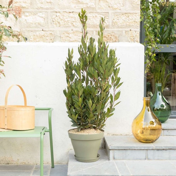 Slow garden : 5 conseils pour rendre son extérieur agréable à vivre // Hellø Blogzine blog deco & lifestyle www.hello-hello.fr