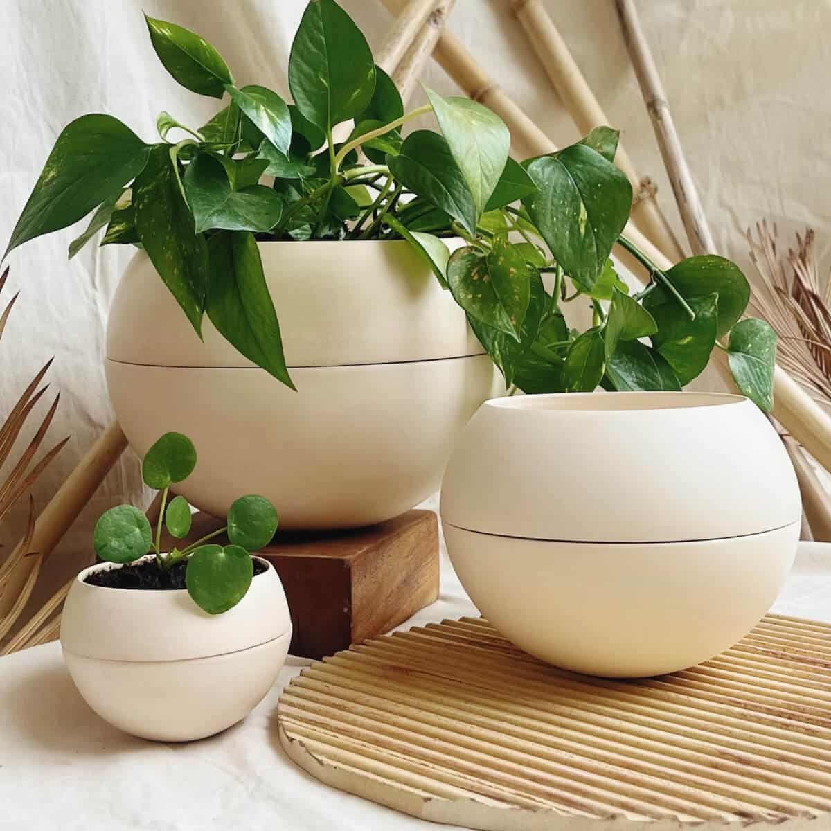 20 solutions déco et intelligentes pour arroser vos plantes // Hëllø Blogzine www.hello-hello.fr