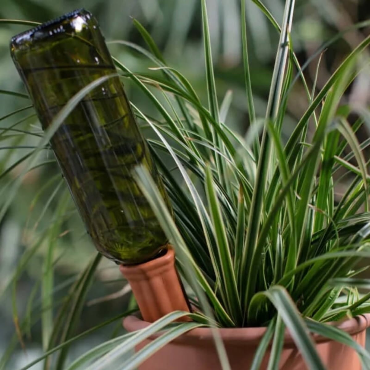 20 solutions déco et intelligentes pour arroser vos plantes // Hëllø Blogzine www.hello-hello.fr