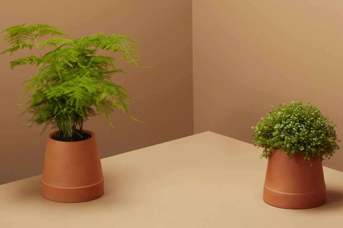 20 solutions déco et intelligentes pour arroser vos plantes // Hëllø Blogzine www.hello-hello.fr