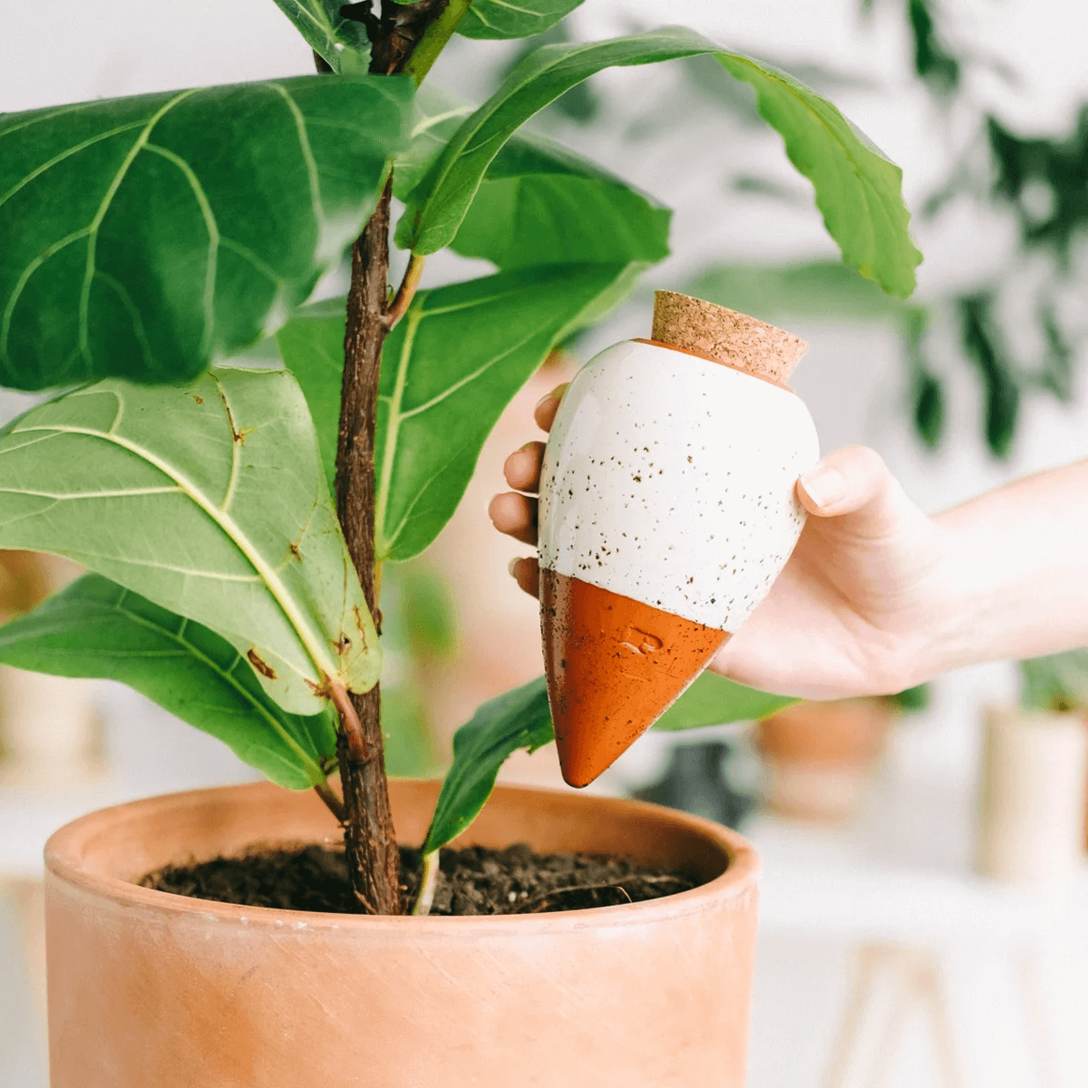 20 solutions déco et intelligentes pour arroser vos plantes // Hëllø Blogzine www.hello-hello.fr