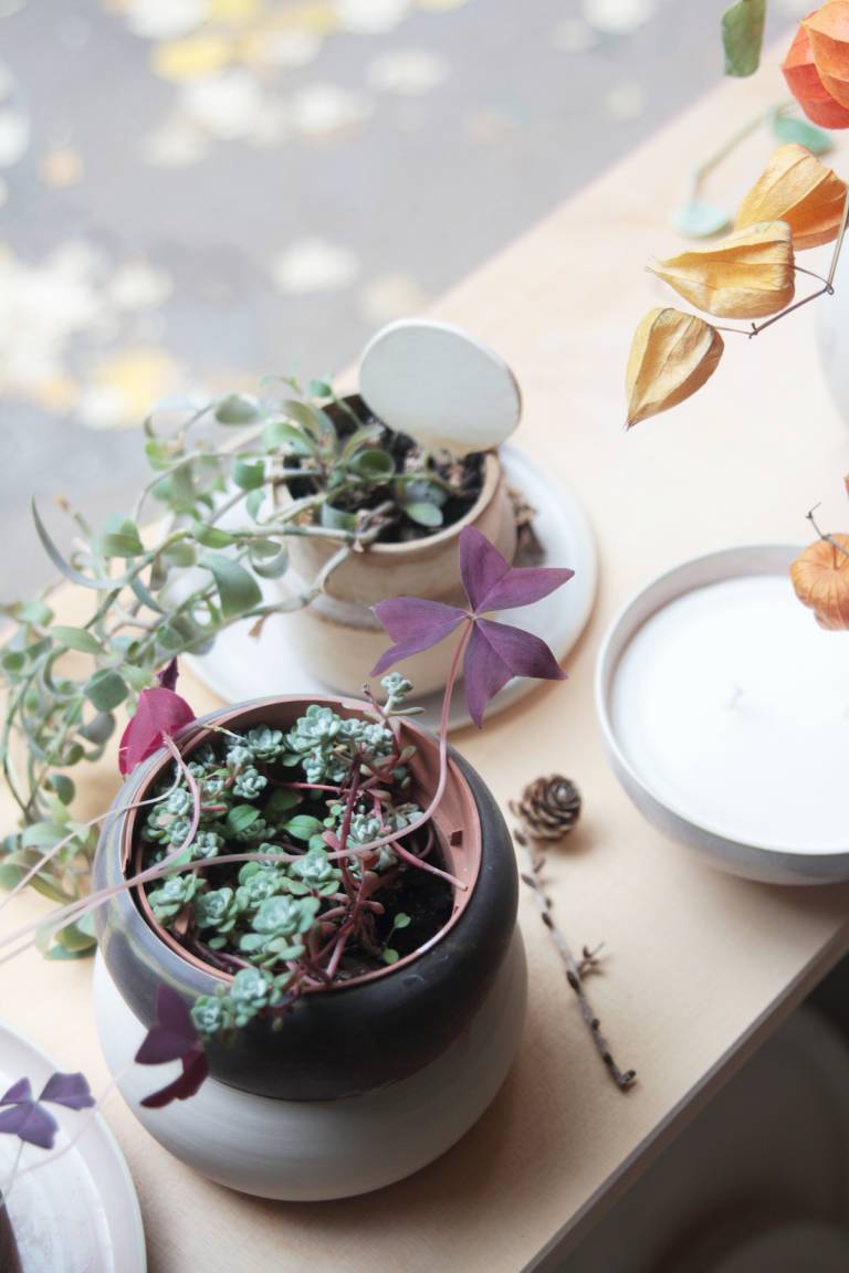 Laurette Broll, céramiste parisienne // Hellø Blogzine blog deco & lifestyle www.hello-hello.fr