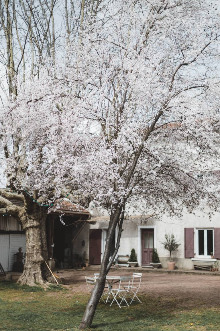 Bienvenue dans la maison au style néo-campagne de la photographe Tiphaine Germain-Lacour