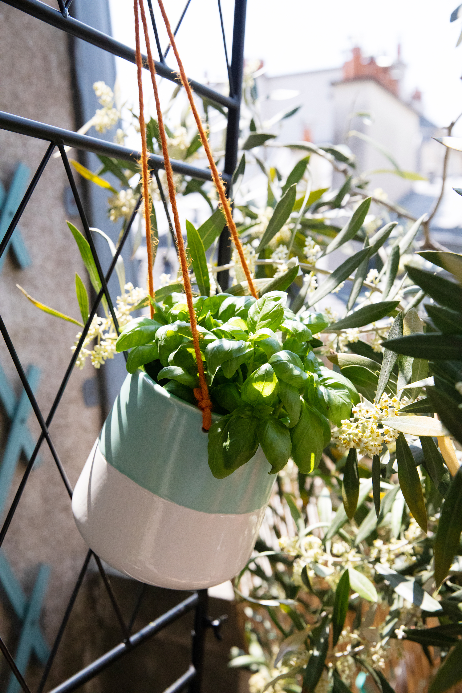 Avant-Après Une petite terrasse parisienne optimisée