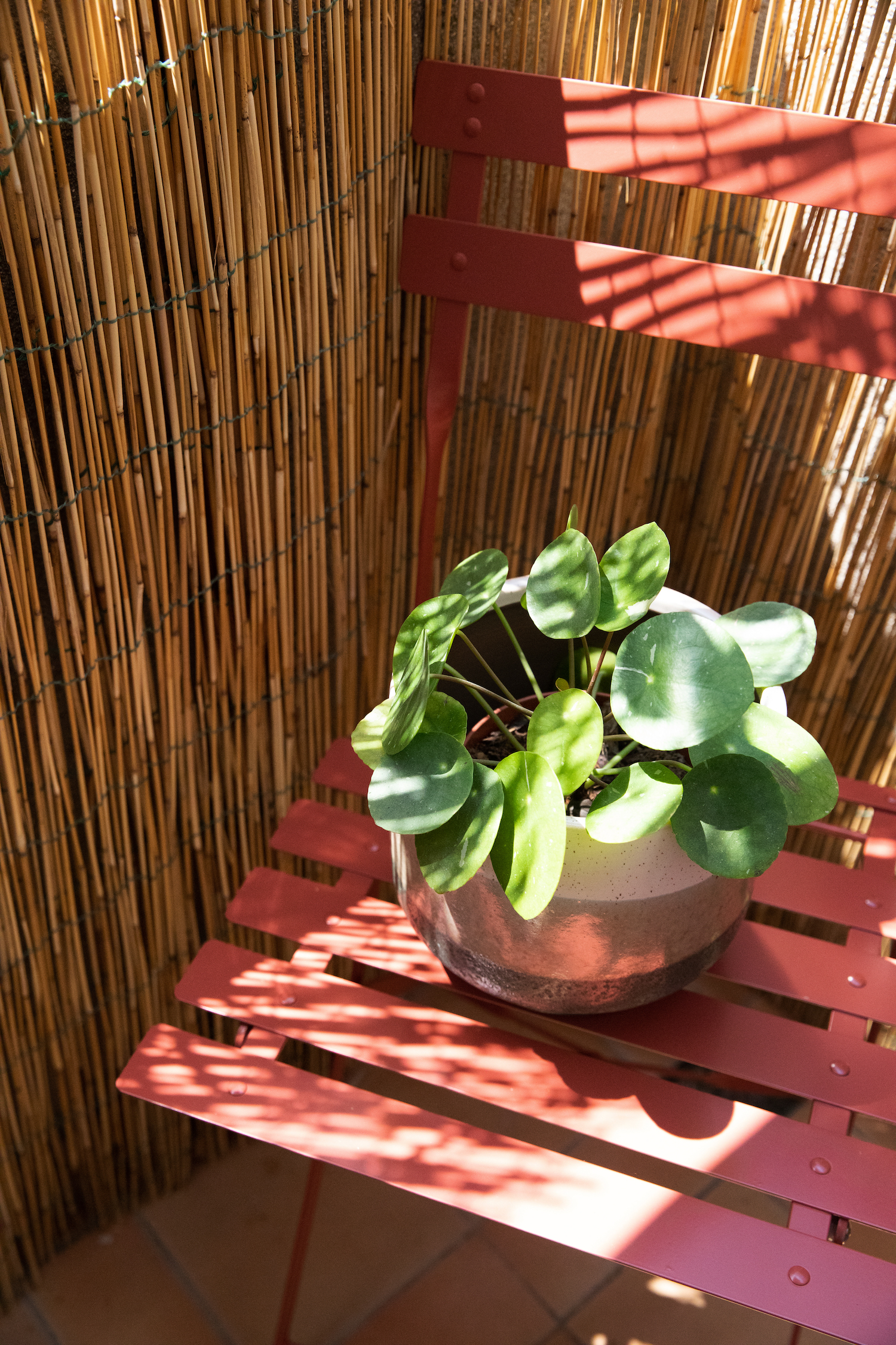 Avant-Après Une petite terrasse parisienne optimisée