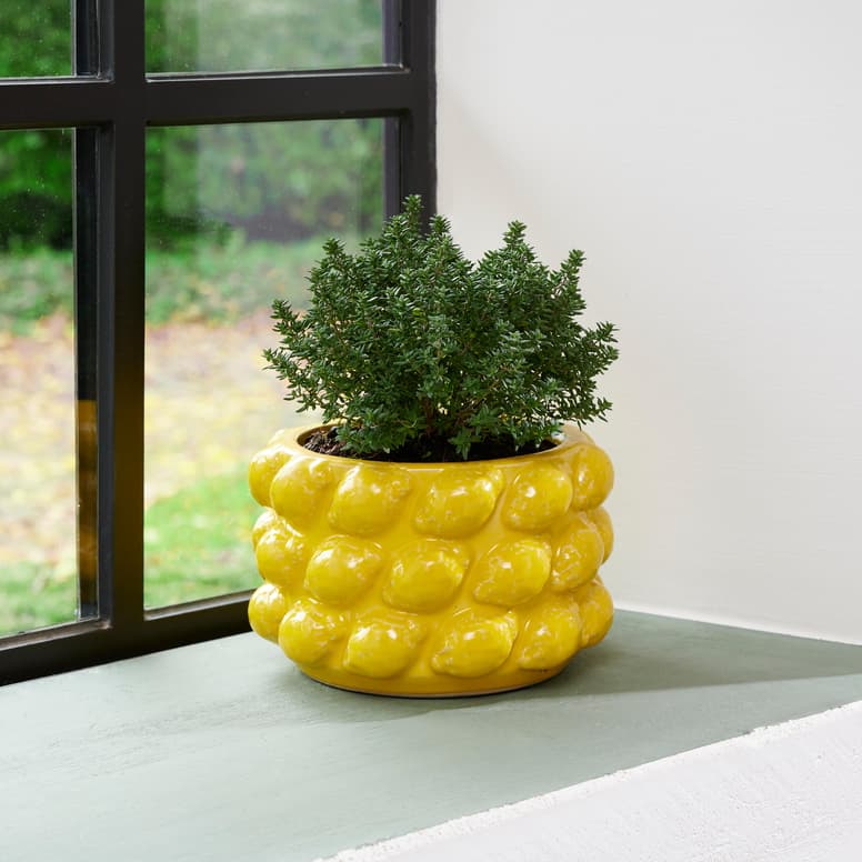 Déco citron - Cache-pot - Décoration plantes // Hellø Blogzine blog deco & lifestyle www.hello-hello.fr