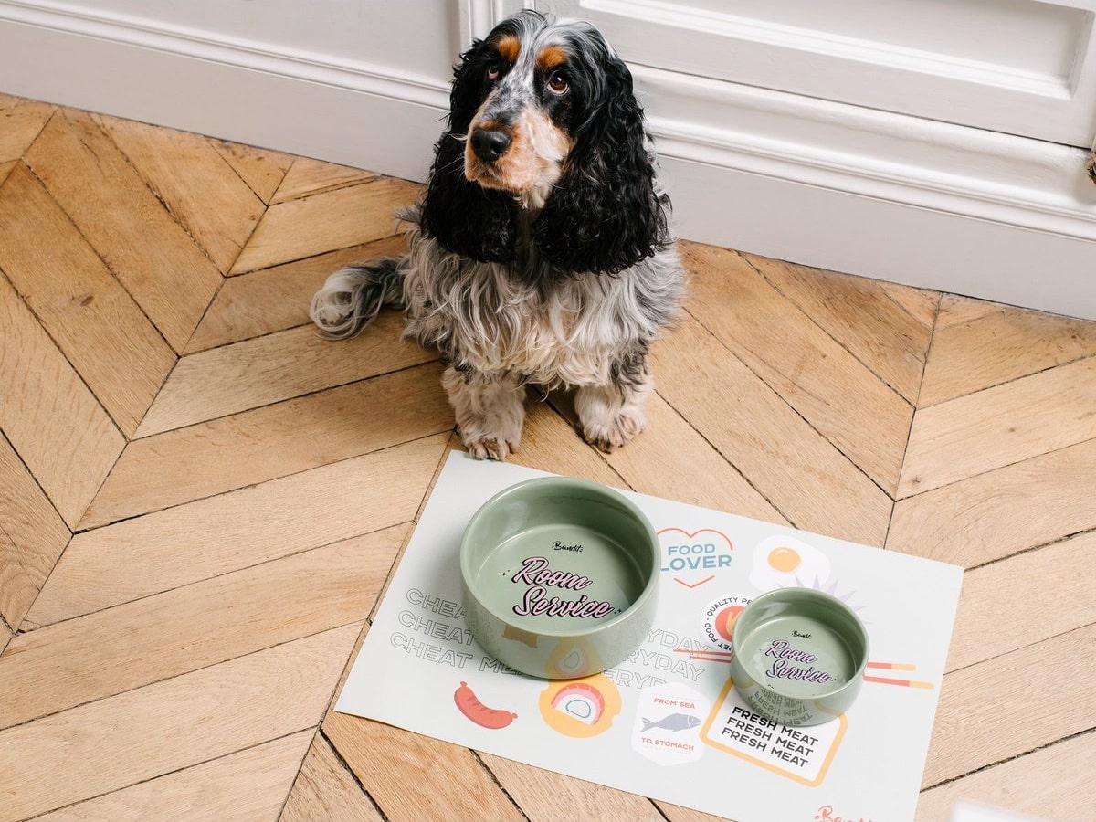 Design pour (tout-)tous ! La déco pour chat et chien - Hellø Blogzine - Blod déco - www.hello-hello.fr